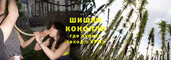 Альфа ПВП Иннополис
