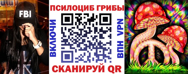 Купить  Тихорецк  Галлюциногенные грибы Cubensis 